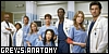 Grey's Anatomy Fan