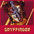 Gryffindor Fan