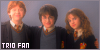Harry, Ron, & Hermione Fan
