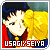 Usagi/Seiya Fan